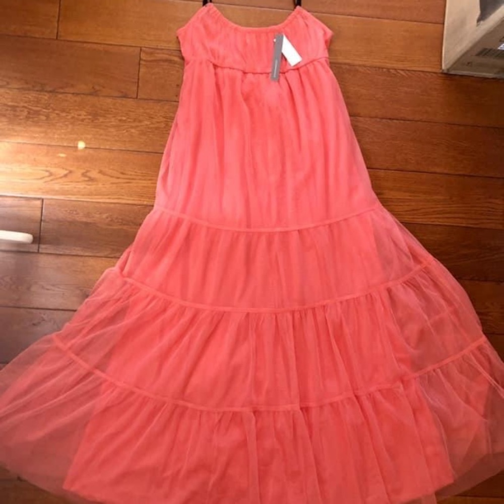 Anthropologie GORGEOUS Tulle Dress